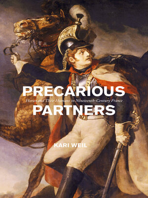 cover image of Precarious Partners